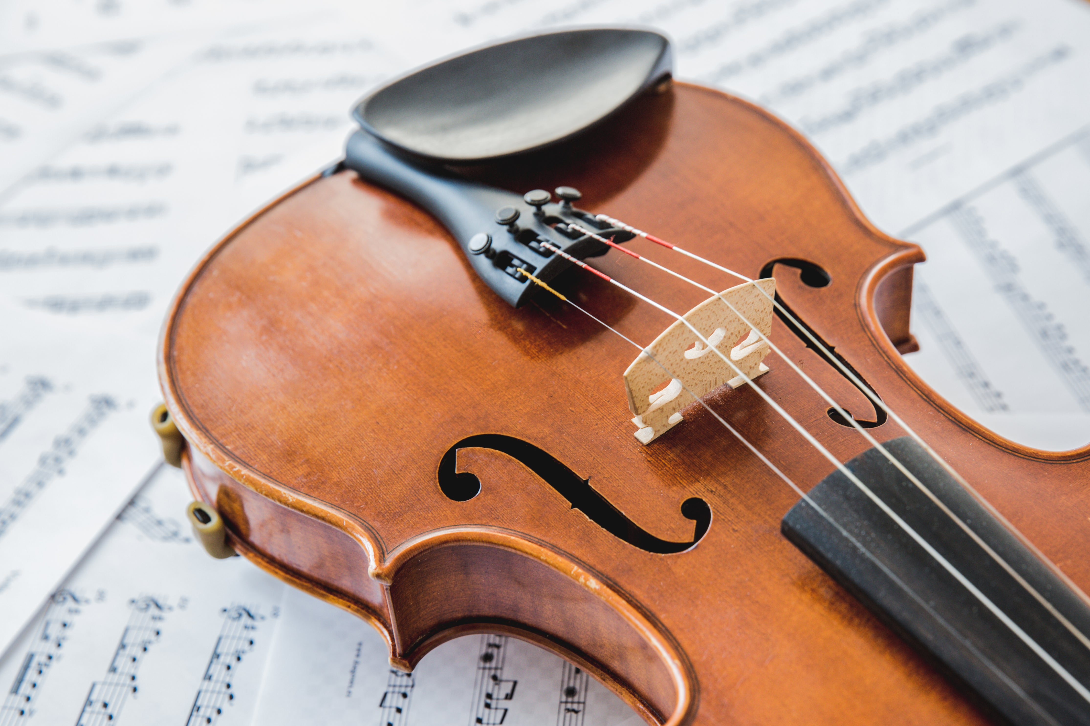 Violin Image